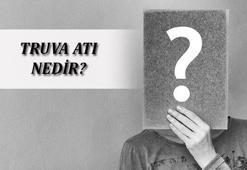 Truva Atı Nedir, Hangi İlimizdedir? Kısaca Truva Atı'nın Hikayesi