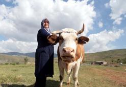 Köyünde hem kanserle savaşını kazandı hem de üretici oldu