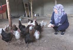 Köyünde hem kanserle savaşını kazandı hem de üretici oldu