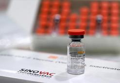 Avusturya Çin aşısı Sinovac'a vize verdi