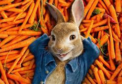 Bir film önerisi: Peter Rabbit-Kaçak Tavşan