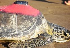 Uydudan izleniyor! 3 günde 30 kilometre gitti
