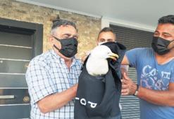 Martıyı polis yeleğini kullanıp yakaladılar