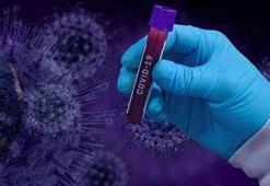 'Aşı kısırlık yapıyor' polemiğini bitirecek araştırma!