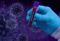 'Aşı kısırlık yapıyor' polemiğini bitirecek araştırma!