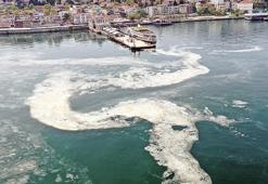 Uyarı geldi! Midye ve dip balıkta müsilajla risk arttı