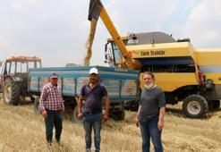 Afyonkarahisar'da kuraklık hububat rekoltesini düşürdü