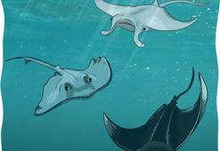 İngilizce Tekerlemeler – Kolay, Kısa ve Uzun İngilizce Tekerleme Örnekleri ve Anlamları