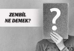 Zembil Ne Demek, TDK Sözlük Anlamı Nedir? Gökten Zembille İnmek Ne Demektir?