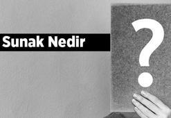 Sunak Nedir? Sunak Tdk Sözlük Anlamı Ne Demek?