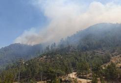 Son dakika... Haberler peş peşe geldi! 3 ilde orman yangını