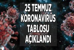 SON DAKİKA HABERİ || 25 Temmuz koronavirüs tablosu! Türkiye korona vaka sayısı ve ölü sayısı son durumu nedir?