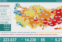 Türkiye'nin günlük koronavirüs tablosu ( 25 Temmuz 2021 )