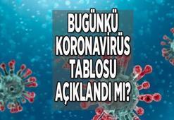 Son dakika: 31 Temmuz bugünkü koronavirüs tablosu belli oldu! Türkiye korona vaka sayısı ve ölü sayısı kaç oldu?