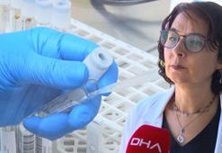 Son dakika... 'Önlemleri gevşettik bu yıl grip salgınına karşı da uyanık olmalıyız!'