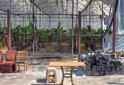 Geçtiği bölgeyi enkaza çeviren yangın, Manavgat’ın seralarına da zarar verdi