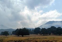 Son dakika: Yangın bölgesinde flaş gelişme! Yağmur sevinci!