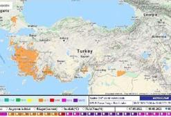 Ege ve Antalya, yangın riskinde 'turuncu' kategoride
