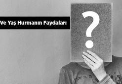 Taze Ve Yaş Hurmanın Faydaları Nelerdir?