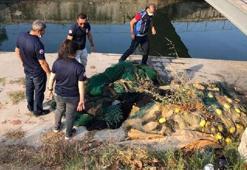 İstanbul'da kaçak midye avcılarına operasyon