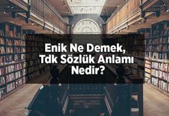 Enik Ne Demek, Tdk Sözlük Anlamı Nedir? Enik Neyin Yavrusudur?