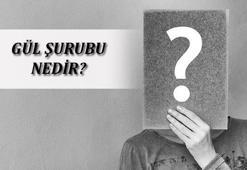 Gül Şurubu Nedir, Ne İşe Yarar? Nerelerde Ve Nasıl Kullanılır?