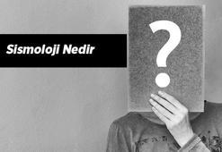 Sismoloji (Deprembilim) Nedir, Tdk Sözlük Anlamı Ne Demek? Sismoloji Neyi İnceler?