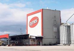 TMSF, Aynes’i satışa çıkardı