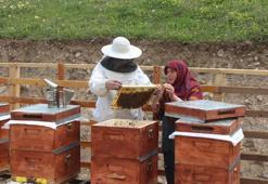 Anzer balının kilogramı 1200 lira oldu