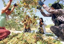 18 liraya sattık 120 liraya yedik