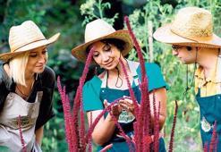 Balkon çiftçiliği için zil çalıyor