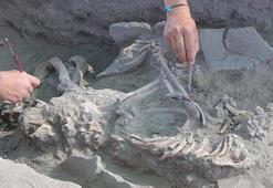 '5 bin yıl önce, insanlar en fazla 40'lı yaşlara kadar yaşıyordu'