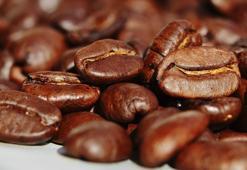 Hangi besin ne kadar kafein içerir?