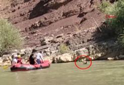 Zap Suyu'nda sürüklenen ayıyı rafting ekibi kurtardı