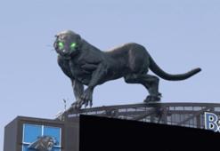 Hologram teknolojisiyle yaratılan ‘gerçekçi’ dünyalar! ‘O kedi gelip sizi ısırabilir’