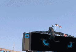 Hologram teknolojisiyle yaratılan ‘gerçekçi’ dünyalar! ‘O kedi gelip sizi ısırabilir’