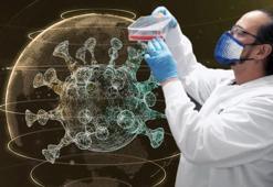 Koronavirüs ne zaman bitecek? Uzman isim açıkladı: Bu 5. koronavirüs salgını!