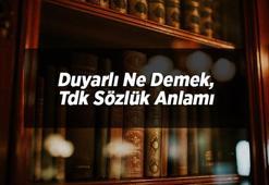 Duyarlı Ne Demek, Tdk Sözlük Anlamı Nedir? Duyarlı Olmak Ne Demektir?