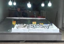 Balık fiyatları fırladı! 'Herkes soruyor ama yok'