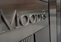 Şirketlerin düşük karbon modelinin önemi artıyor