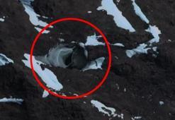 Google Earth ile görüldü! Buza oyulmuş kapıyı buldu