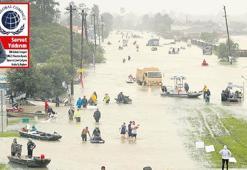 Siyah Kuğu mu? Gri Gergedan mı?