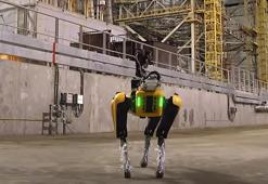Boston Dynamics robotu Çernobil'de görüntülendi! 'Bu teknolojiye ihtiyacımız var!'