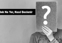 Ördek Ne Yer, Nasıl Beslenir? Ördeklerin En Sevdiği Besinler Nelerdir?