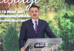Orman yangınlarıyla mücadele çalıştayı başladı