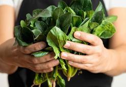 Kentte 'ıspanak' kabusu! İl Sağlık Müdürlüğü'ndan önemli uyarı geldi