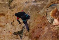 150 metre tırmanarak topladığı kaya balını Cumhurbaşkanı Erdoğan'a ulaştıracak