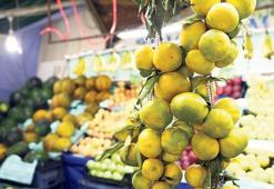 Narenciye ihracatı yarım milyar $’a yakın