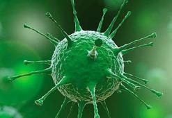 Koronavirüs tablosu 23 Ekim 2021 belli oldu! Bugün koronavirüs tablosunda vaka ve vefat sayısı kaç?