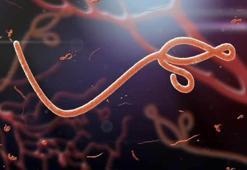 Ölümcül Marburg virüsü tehlikesi dünyayı korkutuyor